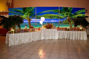 fondo cocteleria paisaje